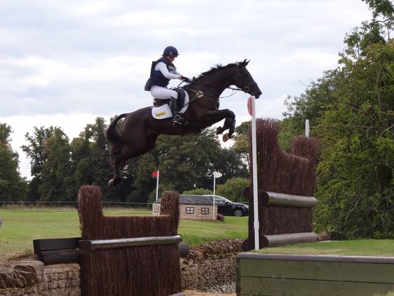 Opposition Buzz eventing